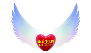 志愿者报名名单